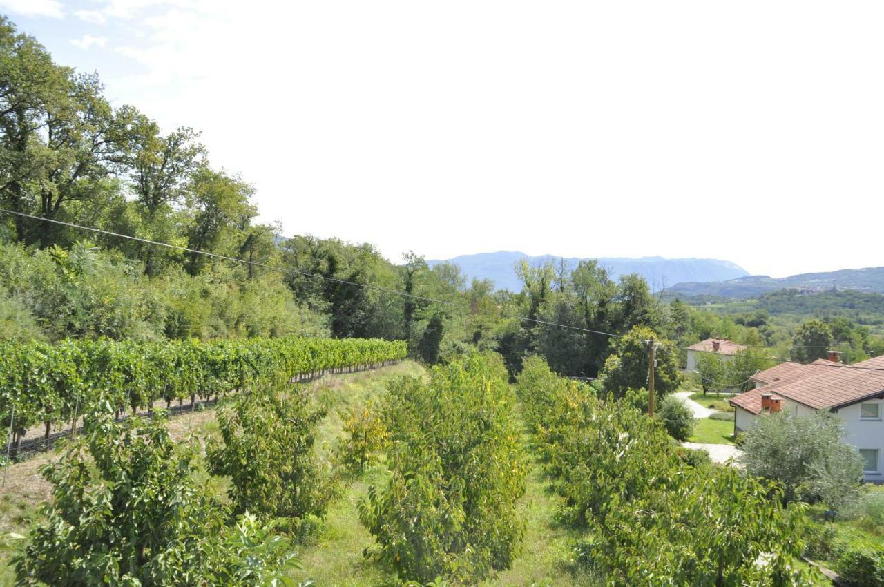 Apartma BAJČI Ajdovščina Bagian luar foto
